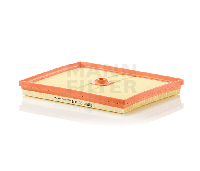 MANN-FILTER C 22 035 Фильтр воздушный