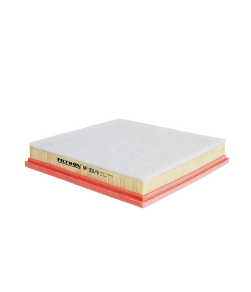 FILTRON AP 051/9 Фильтр воздушный