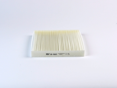 BIG Filter GB-9865 Фильтр салонный
