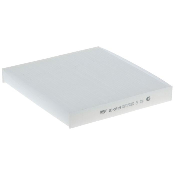 BIG Filter GB-9919 Фильтр салонный