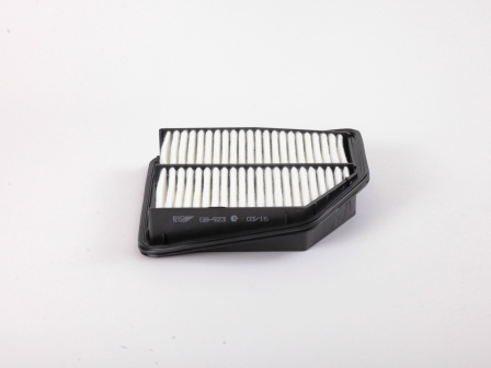 BIG Filter GB-923 Фильтр воздушный