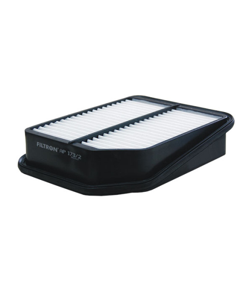 FILTRON AP 173/2 Фильтр воздушный