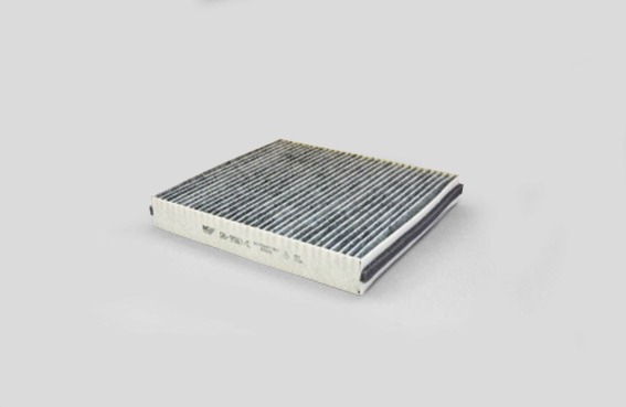 BIG Filter GB-9981/C Фильтр салонный угольный