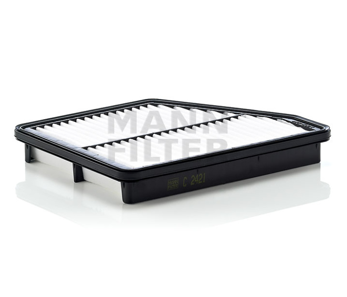 MANN-FILTER C 2421 Фильтр воздушный