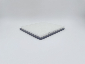 BIG Filter GB-98012 Фильтр салонный