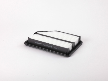 BIG Filter GB-920 Фильтр воздушный
