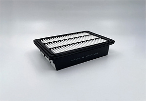 BIG Filter GB-935 Фильтр воздушный