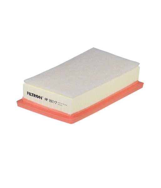 FILTRON AP 197/7 Фильтр воздушный