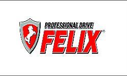 Антигель FELIX – один из лучших по результатам экспертизы «За рулем» 
