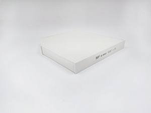BIG Filter GB-98069