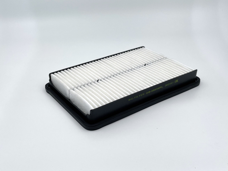 BIG Filter GB-95038PL Фильтр воздушный