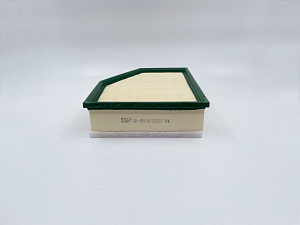 BIG Filter GB-95116 Фильтр воздушный