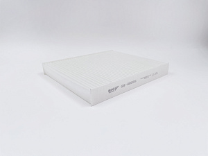 BIG Filter GB-98066 Фильтр салонный
