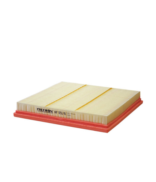 FILTRON AP 051/8 Фильтр воздушный