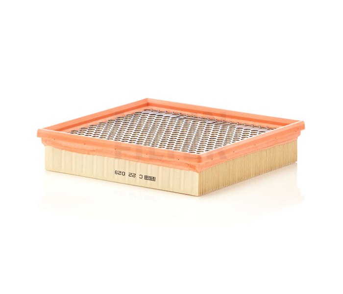 MANN-FILTER C 22 029 Фильтр воздушный